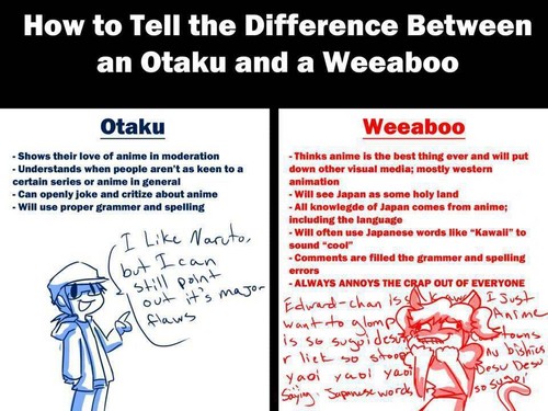 Maybe a little bit biased against weeaboo, but the basic idea is about ...